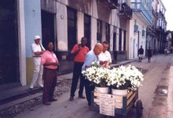 Cuba photo