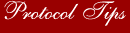 International Protocol & Etiquette Tips and Information